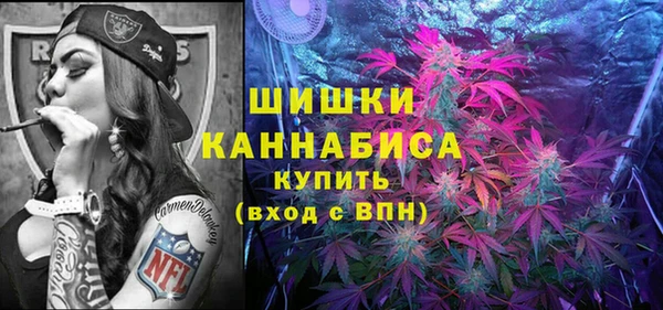 прущие грибы Баксан