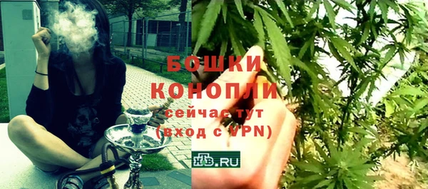 прущие грибы Баксан