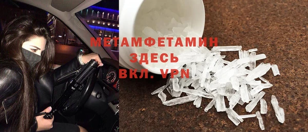 прущие грибы Баксан