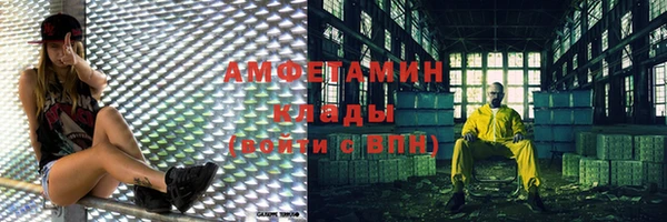 прущие грибы Баксан