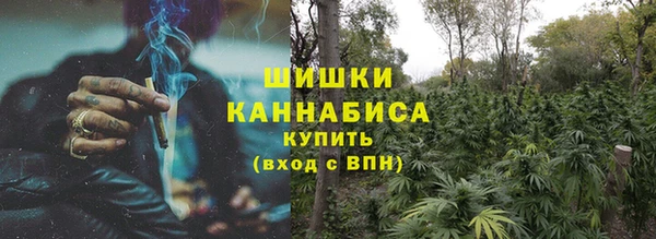 прущие грибы Баксан
