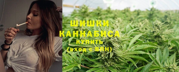 прущие грибы Баксан