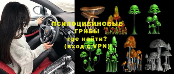 прущие грибы Баксан