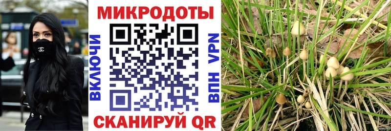 маркетплейс состав  как найти   Козельск  Псилоцибиновые грибы прущие грибы 
